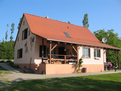 Mückenbusch