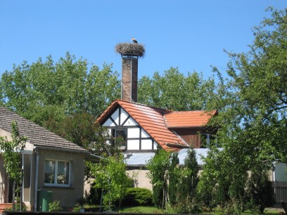 Storchennest