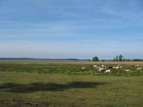 Ganz hinten die Ostsee