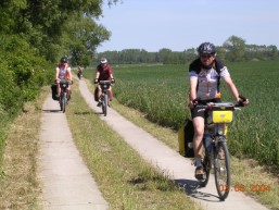 Fahren in der Sonne