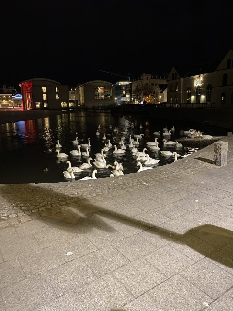 GL-2023-12-22-00h59m34