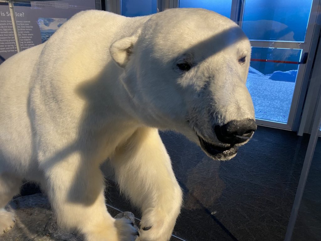 GL-2023-12-22-14h48m00