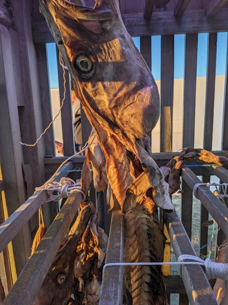 GL-2023-12-25-14h38m12