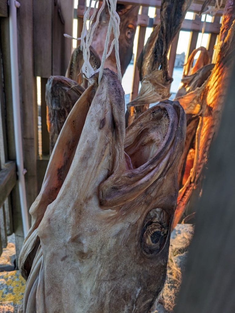 GL-2023-12-25-14h38m21