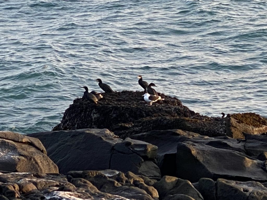 GL-2023-12-27-13h21m18