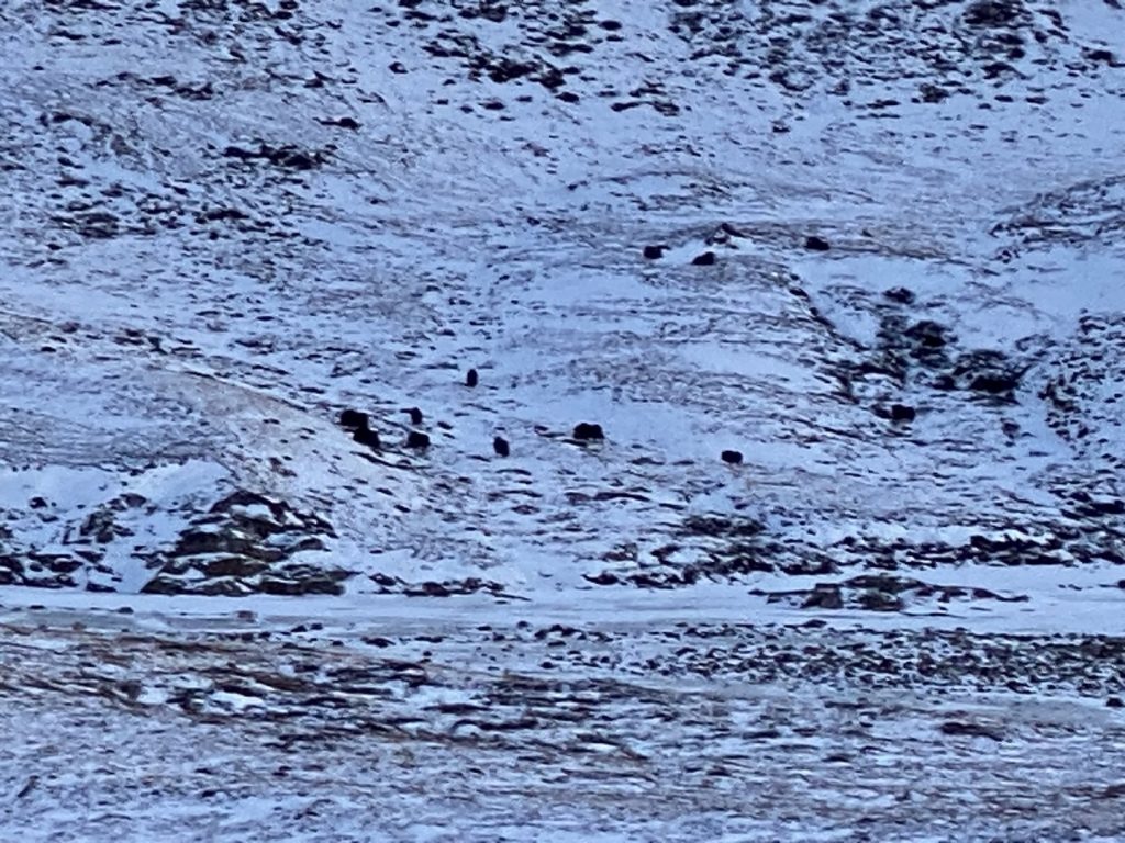 GL-2024-01-04-14h08m01