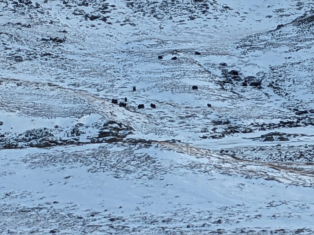 GL-2024-01-04-14h08m47