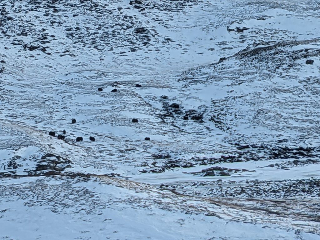 GL-2024-01-04-14h08m51