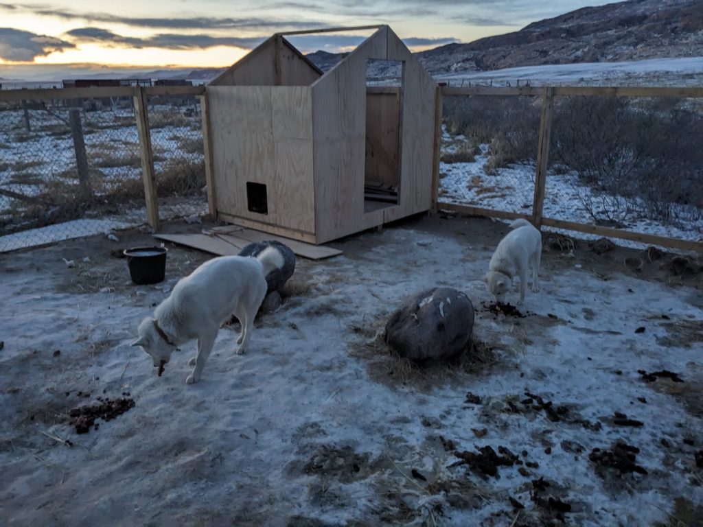 GL-2024-01-04-16h17m52